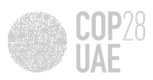 COP 28